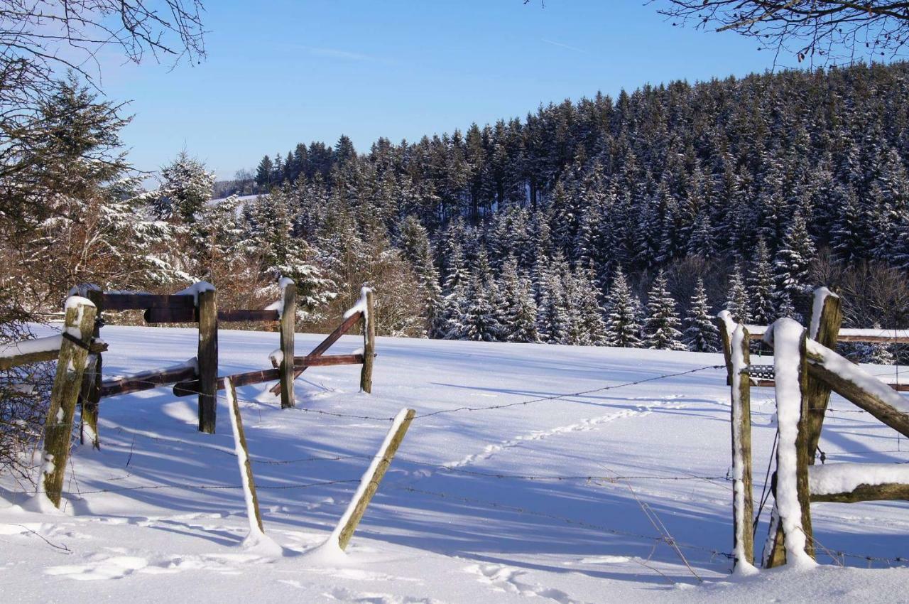 Chalet Rocherath Büllingen Exterior foto